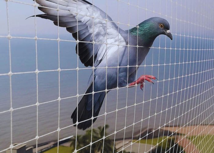 Digital-Marketing-Card-51-1536x1090